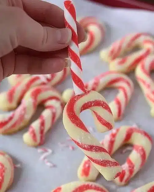 Festive Candy Cane Cookies with peppermint flavor and red-and-white stripes
